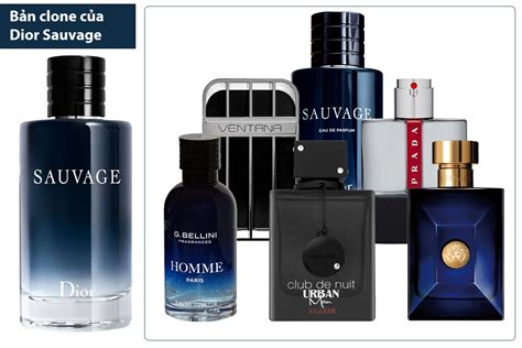 dior sauvage clones